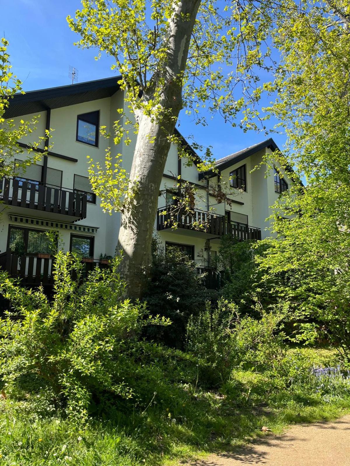 Zentrale Ferienwohnung Am Buhlschen Park In דיידסהאם מראה חיצוני תמונה